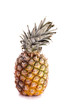 pineapple pineapple