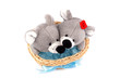 Toy mice