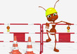 Red ant 46