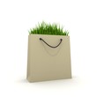 Eco shopping bag Eco shopping bag