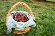 cesto di castagne