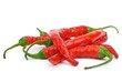 Pile of red chili peppers Pile of red chili peppers