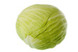 cabbage covered with dew isolated
