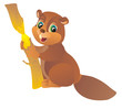 Beaver Beaver