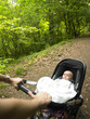Parent and Baby Taking a Walk in the Woods