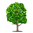 Vector tree