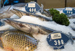 Photo: fish market fish market