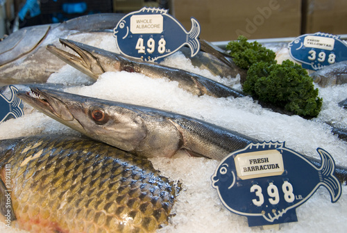 Photo: fish market fish market