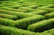 Labyrinth