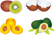 Vector: Fruits vector Fruits vector