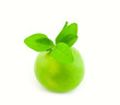 Green Sweetie with leaves on a white background