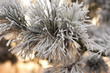 Winterlandschaft