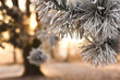 Winterlandschaft
