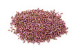 Heather blossom tea isolated on the white background