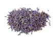 Lavender tea isolated on the white background