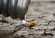 waterless land hunger