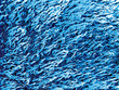 Winter Blizzard Texture