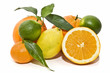 Naranjas y citricos variados Naranjas y citricos variados
