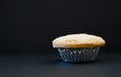 Christmas Mince Pie