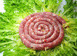 salsiccia