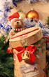 Christmas Gift