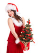 Christmas girl in santa hat with small tree in hand.