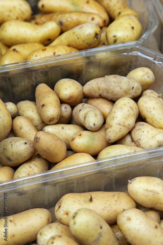 Rattes - Variété de Pommes de Terre Rattes - Variété de Pommes de Terre