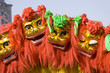 chinese lion dancing