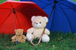 Two teddy bears under red and blue umbrella
