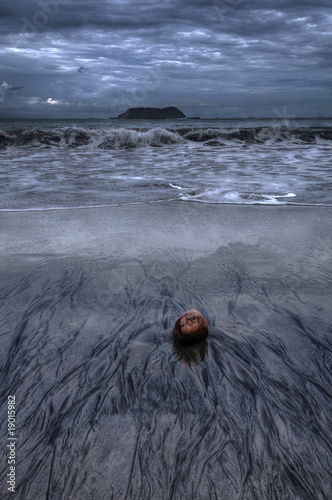 Photo: The Beach The Beach