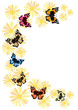 farfalle