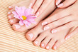 care for beautiful woman legs