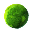 Green Earth, covered with grass Green Earth, covered with grass