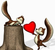 A  squirrel gives its heart away