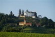 Wein Hügel Kapfenstein