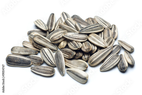 Photo: Sunflower seed Sunflower seed