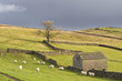Yorkshire