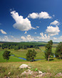 hills summer landscape