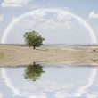 Rainbow and reflection Rainbow and reflection