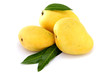 Ripe mangoes on white Ripe mangoes on white