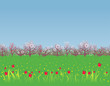 Spring background with a flowering garden