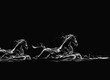 Two Black Water Horses Running