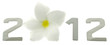 2012 année fleur frangipanier fond blanc