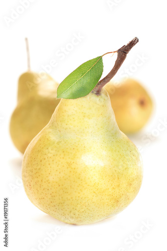 Photo: pears pears