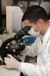 Photo: Laboratory research Laboratory research