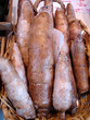 manioc