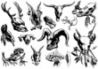 vector illustration tattoo design set (animal skull) vector illustration tattoo design set (animal skull)
