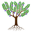Arbre au Printemps - Spring Tree (Saisons - Dessin - Vecteur)