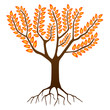 Arbre en Automne - Autumn Tree (Saisons - Dessin - Vecteur)