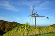 Wein 005